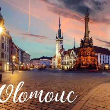 Lokální skupina v Olomouci